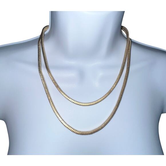 NWT Express Necklace – 17" with 2.5" Extender - Picture 1 of 4